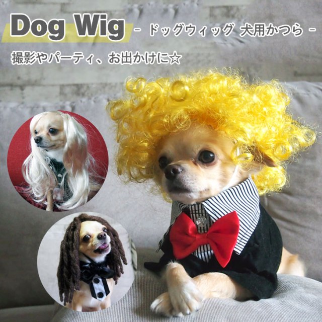 Dog Wig